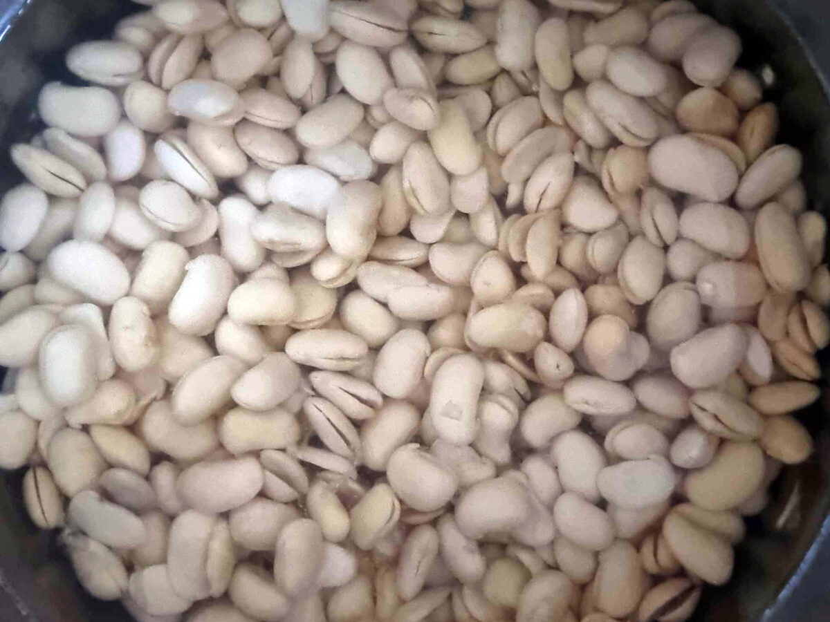 faba beans being soaked in water